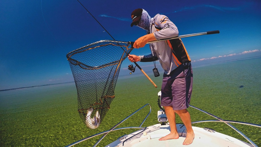 Forel I Nettet
