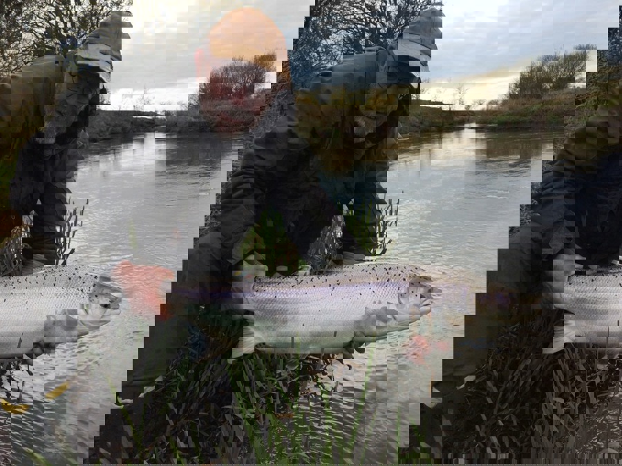 169063945 470654977457982 6305484782774459604 N