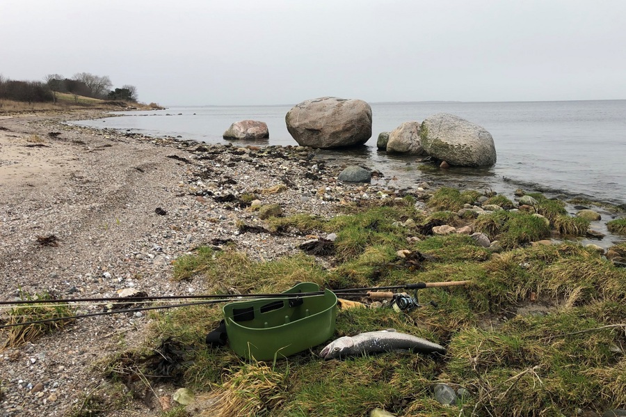 Isefjorden Grønlandshuse Havørred