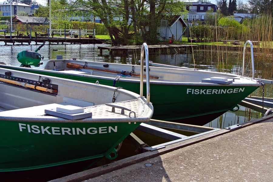 Fiskeringen