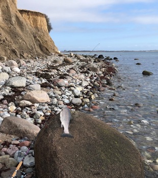 Ærø