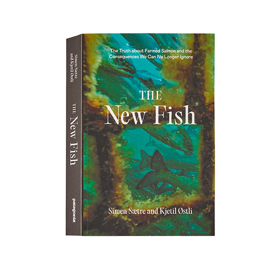 Grej 0010 Patagonia New Fish BK905 000