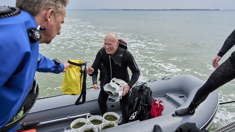 Samarbejde Kysthjælper (1)