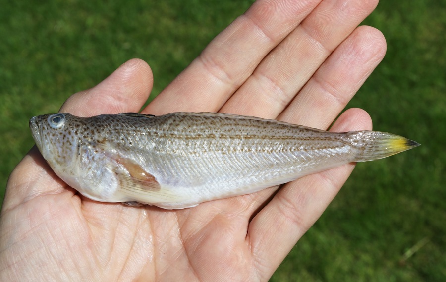 8902F9d7 16F6 46A0 92Aa 21F6b79770be