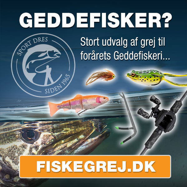 600X600 Gedde