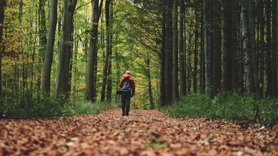Asnæs Nordforskoven