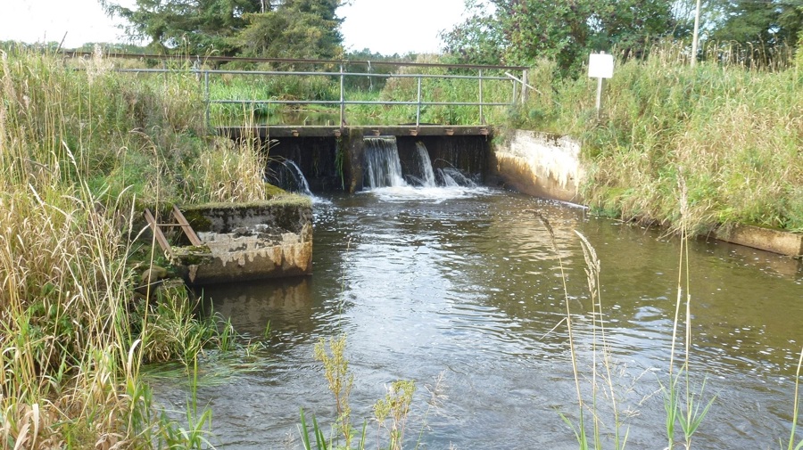 Agerskov Dambrug