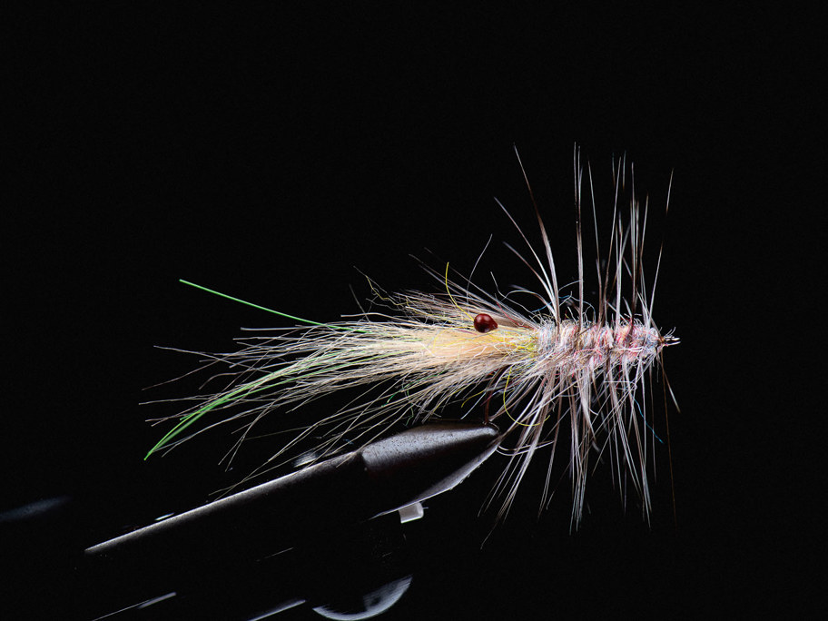 Slomo Shrimp Tan (NS122) By Jesper Lindquist Andersen Step 07 1