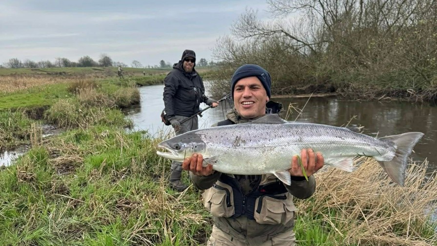 Att.Zevsuhzfv6ywdpxs2gthalfnfrhjpc11 83D9qlsb6q