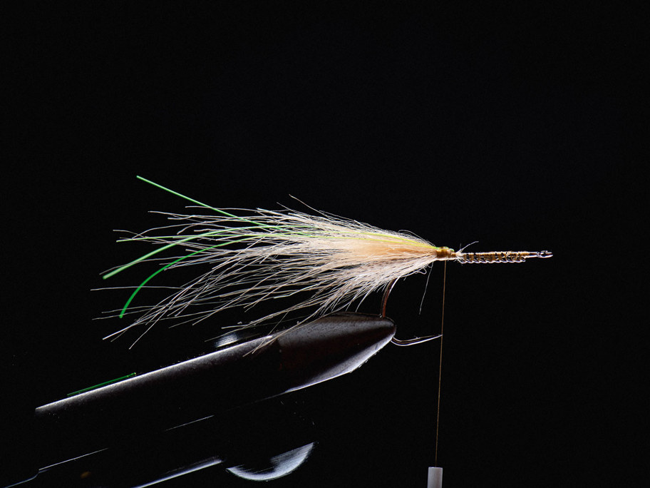 Slomo Shrimp Tan (NS122) By Jesper Lindquist Andersen Step 03 1