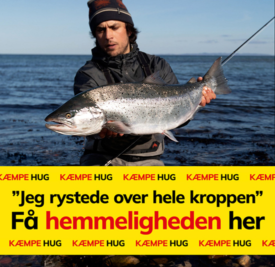 04 CB RYSTEDE 600X600px NEWSLETTER0