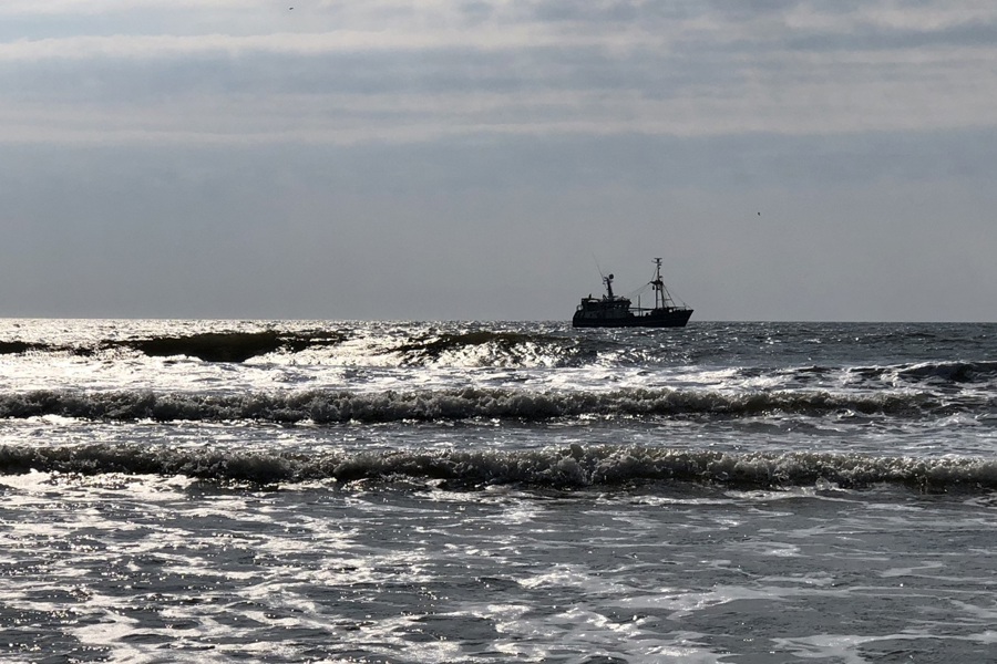 Vestkysten Bomtrawler