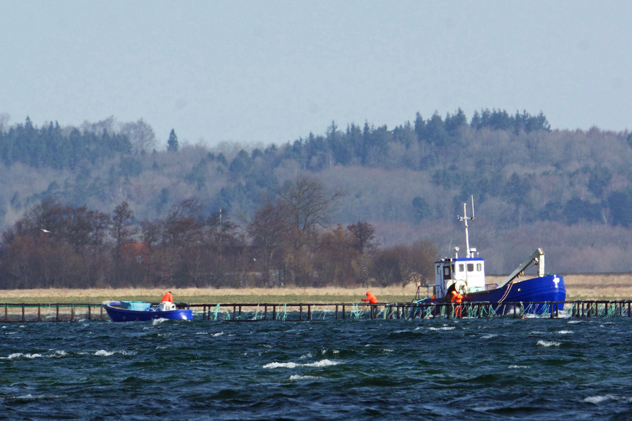 Der Arbejdes Pa Hjarnoe Havbrug Foto Kkfe