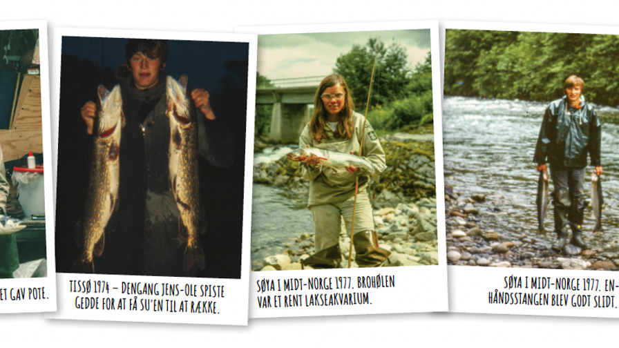 Skærmbillede 2024 01 02 Kl. 13.35.19