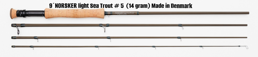 Light Seatrout 9 5 4