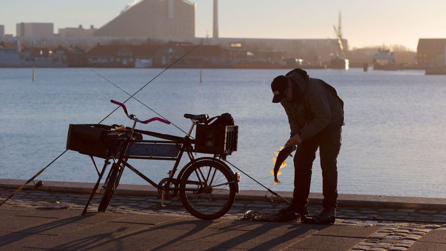 Fiskeriforbud Bliver Til Hjemtagningsforbud I Kbhhavn Marie Brandt