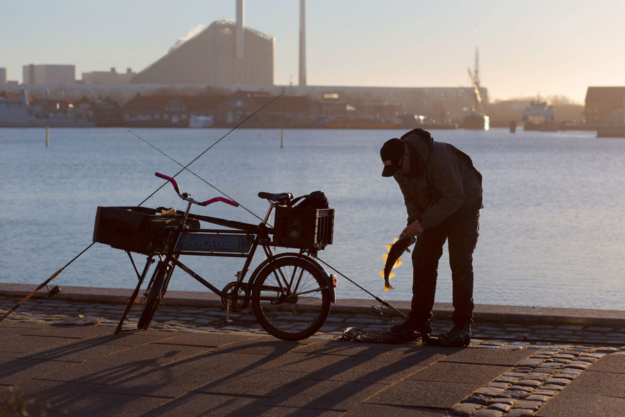 Fiskeriforbud Bliver Til Hjemtagningsforbud I Kbhhavn Marie Brandt