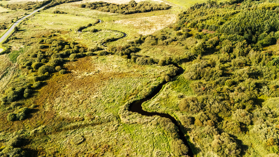 DJI 20240821174715 0056 D
