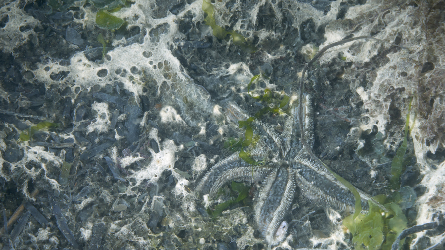 Foto Morten Rasmussen Til Brug På Egne Medier Web