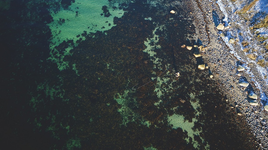 DJI 0810