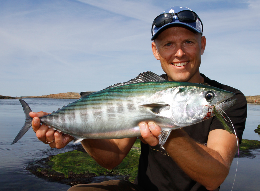 Rygstribet Pelamide 2015 2 (1)