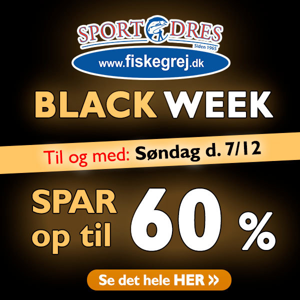 600X600 BF 2025 Live