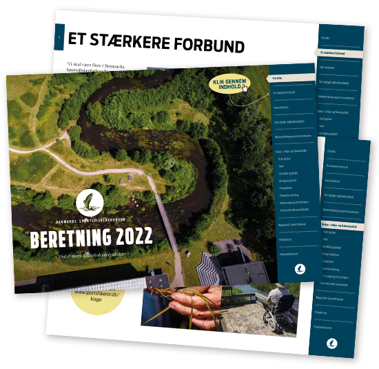 Beretning 2020 Web 3