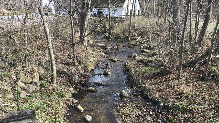 Ellerenden