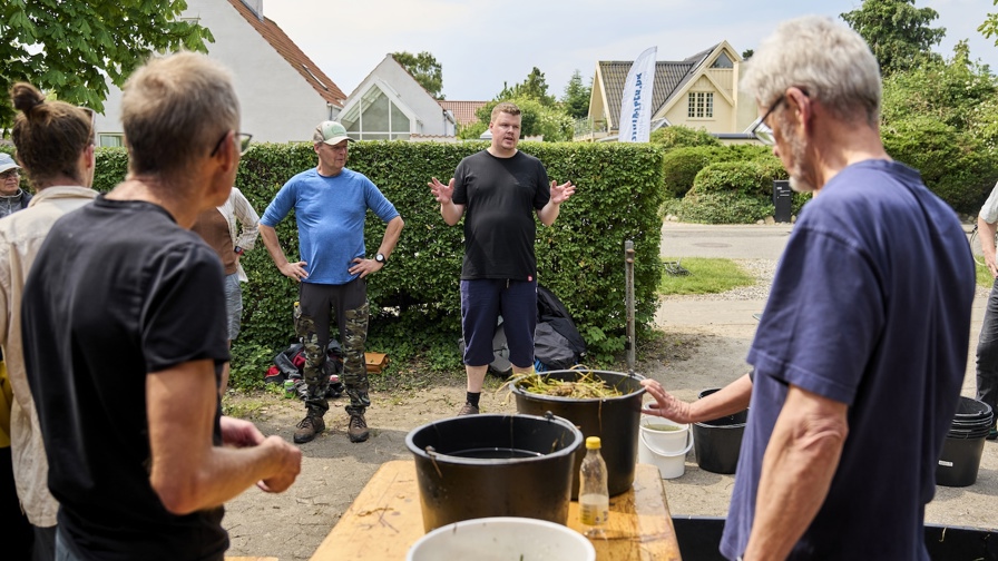 Kysthjælper Samarbejde