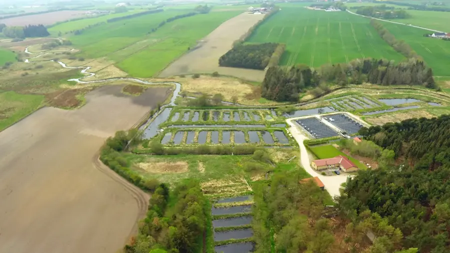 Simested Aadal Dambrug