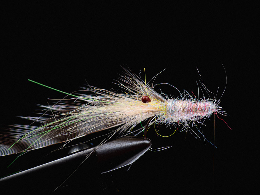 Slomo Shrimp Tan (NS122) By Jesper Lindquist Andersen Step 06 1