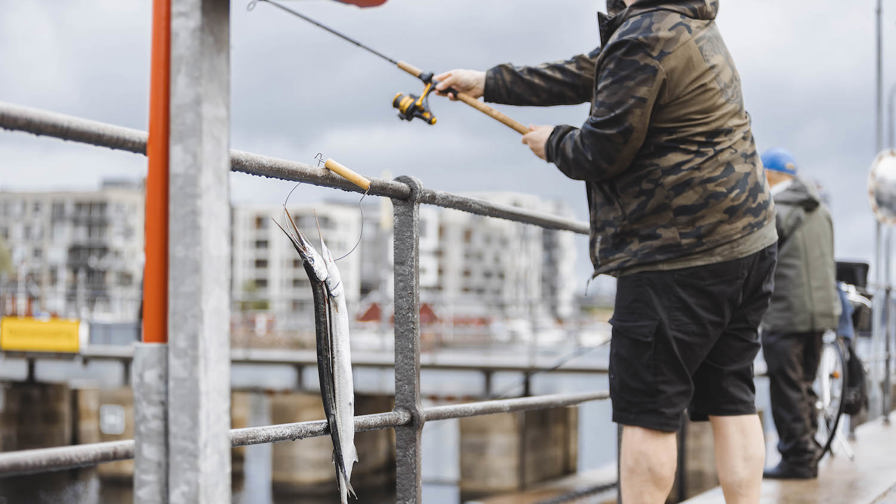 220521 Hornfiskecup Lystfiskerietsdag 2