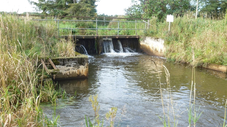 Agerskov Dambrug