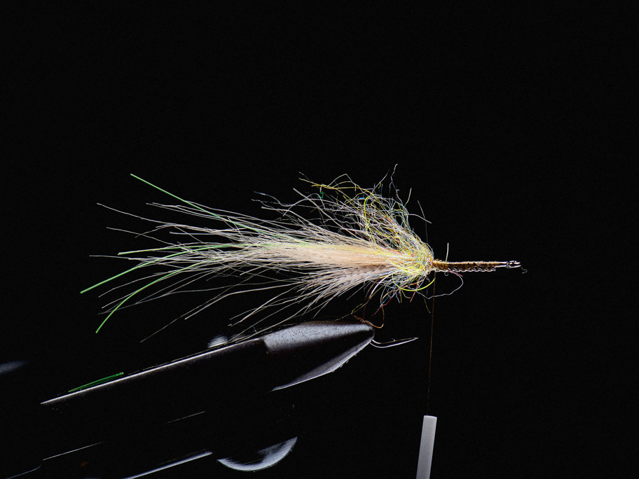 Slomo Shrimp Tan (NS122) By Jesper Lindquist Andersen Step 04 1