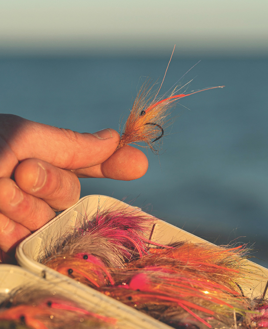 Djursland 22 12 Troels Holstein Flies 08