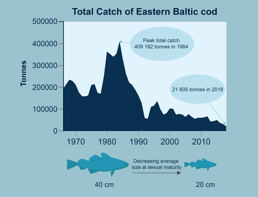 Roc Cod Decline Graph English