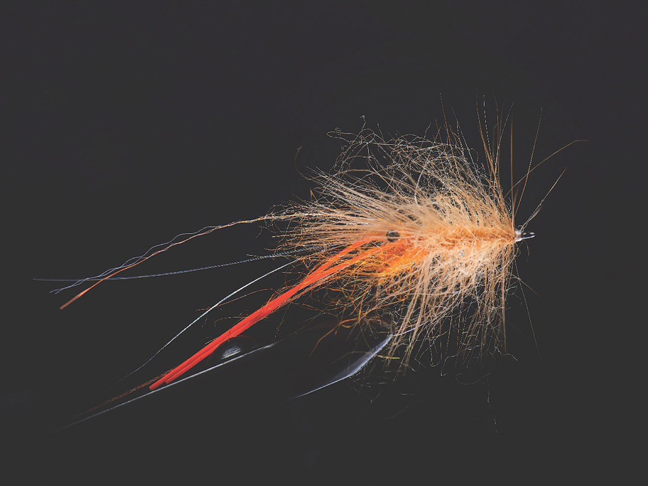 Høtyven (NS122) By Troels Holstein Kaa Step 11