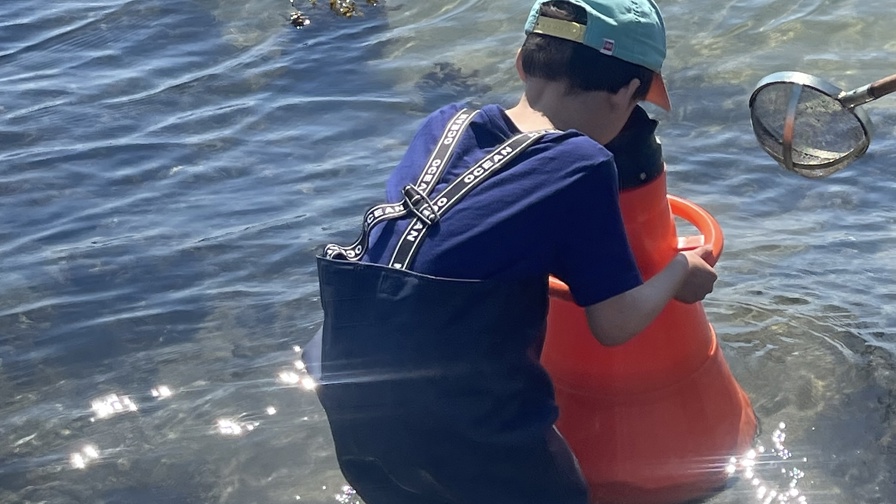 Inspirationskursus 1