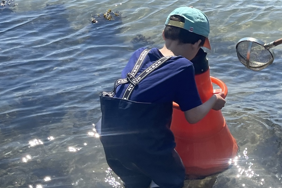 Inspirationskursus 1