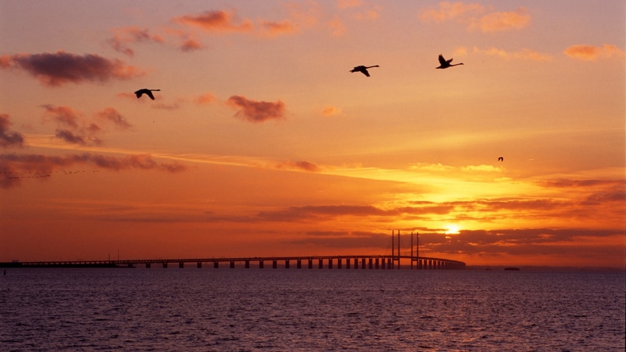 Shutterstock 1972729700 (1)