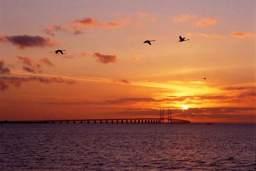 Shutterstock 1972729700 (1)